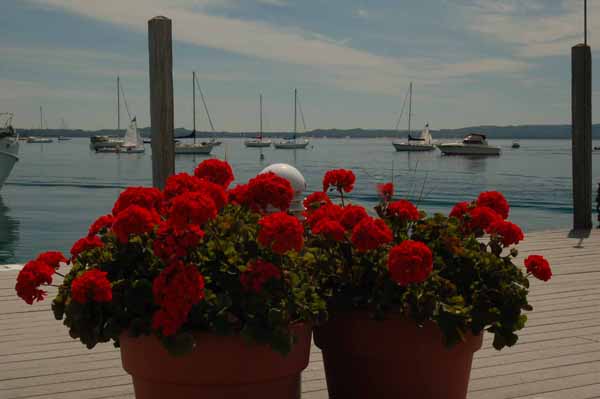 Harbor Springs harbor